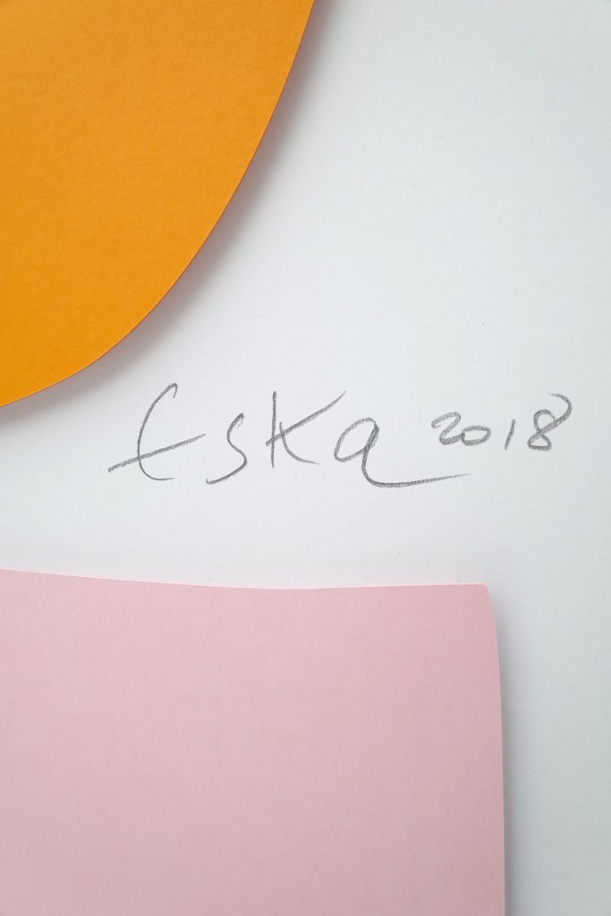 Eska Board pink and orange